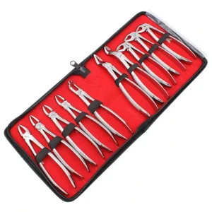 10 PCS Dental Extraction Forceps Pliers Kit Stainless Steel for Adults Dentist Tool Orthodontic Surgical Instrument