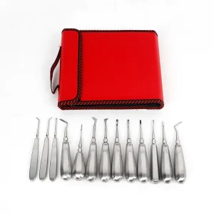 13 Pcs Stainless Steel Dental Oral Surgery Root Elevators Set Tooth Extraction Surgical Instruments
