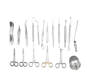 18 Piece Stainless Steel Dental Surgical Instruments Kit Diagnostic Examination Set
