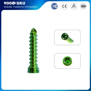 2.0mm AO Locking Screw Titanium Veterinaria Pets Orthopedic Surgical Instruments Tools Medical Supplies