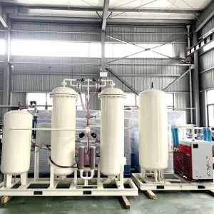 2000Nm3 H Big Capacity Vpsa Oxygen Plant Vpsa Gas Generation Equipment Suppliers