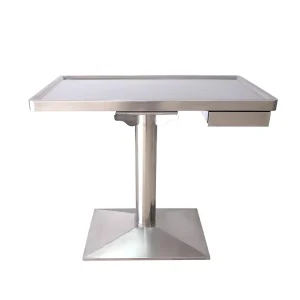 304 Stainless Steel Veterinary Equipment Animal Treatment Pet Examination Table with Electronic Scale