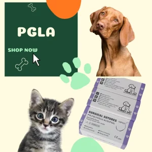 75cm Surgical Sutures PGLA 910 PGLA Suture Vicry Polyglactin Nylon Surgical Suture