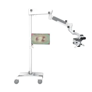 AM 5000 Electric Dental Surgical Microscope Oral Therapy Equipment and Accessory