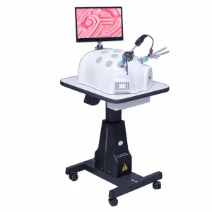 Abdominal Laparoscopic 1080P HD Trainer Box Simulator with Endoscope Camera Endotrainer