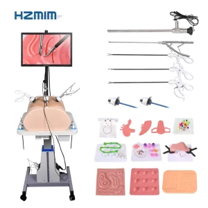 Abdominal Laparoscopic Endo Trainer Laparoscopic Training Box Simulator with Auto Lifting Table for Medical School