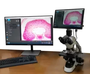 BD SW1001 Digital LCD Compound Biological Microscope with Touch Screen