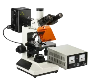 BD YG2001 Epi fluorescence Microscope for Cell Culture and Medical Research