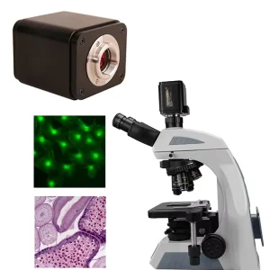 BWHC4 4K8MPA 8MP Multi outputs C mount 60FPS High Definition Camera for Ophthalmic Surgical Microscope