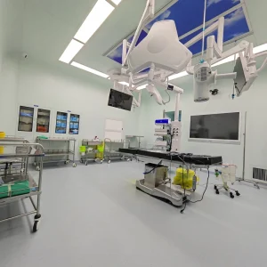Biological Laboratory Cleanroom Medical Operation Room GMP Modular Operating Room