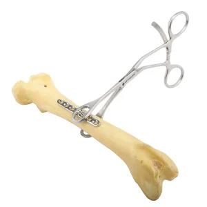 Bone Holding Forceps Veterinary Orthopedic Supplie Orthopedic Surgical Instruments