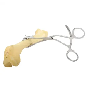 Bone Holding Forceps Veterinary Orthopedic Supplie Orthopedic Surgical Instruments