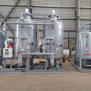 CE Certified PSA Nitrogen Generator with PLC & Motor High Purity 97 99.9995% Safe & Reliable Performance