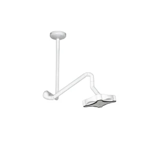 Ceiling Lamp Surgical Light Surgical Lamp Used in Hospital ENT Emergency Gynecology Cosmetic Dental Clinic Vet Veterinary