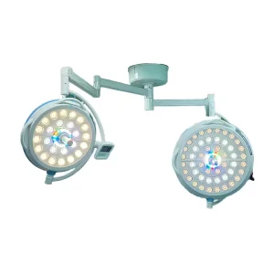 China Supply Double Dome LED Operating Light Electric Shadowless Surgical Operating Room Lamp for Veterinary Clinics