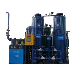 Complete Oxygen Stations Based on Psa and Vpsa Technology O2 Vpsa Oxygen Supply System