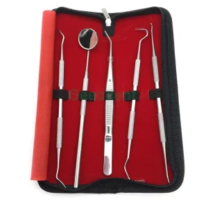 Dental Instruments Surgical Cleaning Teeth Oral Tools Dental Hygiene Kit Dental Instrument Scaler Kit