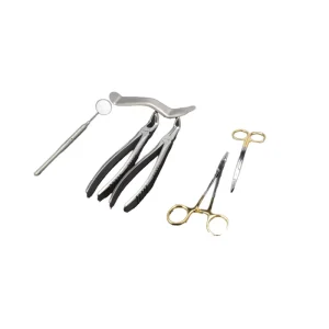 Dental Kits Instruments Surgical Cleaning Tool Manual Medical Grade Stainless Steel Reusable