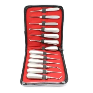 Dental Stainless Steel Elevator Extraction Triangle Root End Elevator Oral Surgical Instruments