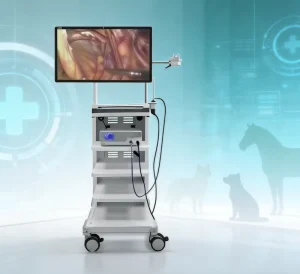 Flexible Video Monitor Animal Gastroscope Colonoscope Rigid Endoscopy HD 4K Resolution Veterinary Endoscopic Display