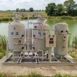 Fully Automated Fast start Oxygen Generator System Oxygen Generator Equipment PSA Aquaculture Oxygen Generator