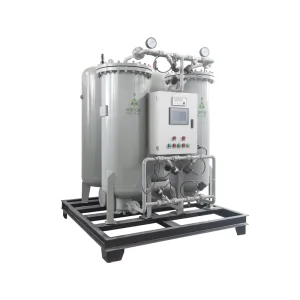 High Purity PSA Gas Generator Plc Controlled Mini Nitrogen