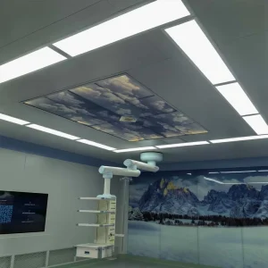 Hospital Operation Room Laminar Flow Surgical Room System Operation Room Panel Operation Theatre