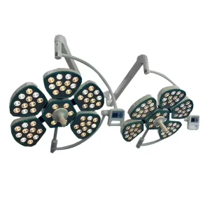 LED Surgical Shadowless Lamp Petal shaped Operating Room Examination Lamp Single Double Head Mobile Type Electricity High