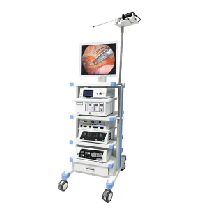 MN VET001 Liaison Medical Veterinarian Hospital or Clinic Endoscope Machine for Pet or Animal Laparoscopic Surgery