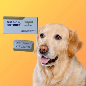 Manufacturer Medical Sterile Vicryll Surgical Suture Medical Accessories for Hospital