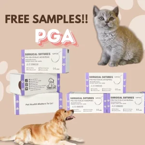 Medical Consumables NYLON Suture Needles Veterinary Diagnostic Equipment Suture