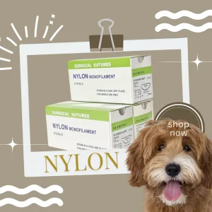 Medical Consumables NYLON Suture Needles Veterinary Diagnostic Equipment Suture