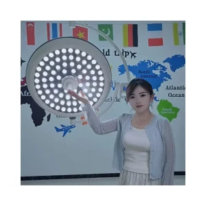 Medical Operating Room Pet Oral Plastic Surgery Suspended Mobile LED Halogen Single Head Double Head Surgical Shadowless Lamp
