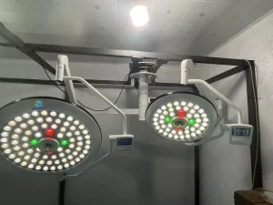 Medical Shadowless Theatre Light Veterinary Equipment Ceiling Mounted Lamp OT Light LED Surgical