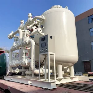 Medical or Industrial Used PSA Technology Oxygen Plant VPSA Oxygen Generator Large Scale Oxygen Production VPSA System 220V/380V