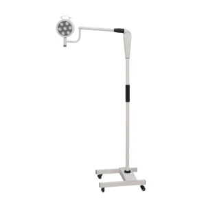 Minor Dental Clinic LED Surgical Light for Examination Surgery