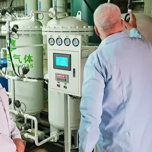 NZO-30 Medical PSA Oxygen Generator for Hospital Use Easy to Operate Gas Generation Equipment
