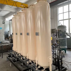 O2 Mini System Hydrogen Industrial PSA Medical Hydrogen Concentrator Hydrogene Generator Aquaculture