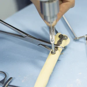 Orthopedics Bone Holding Forceps Surgical Instruments for Small Animal Surgery Instrument