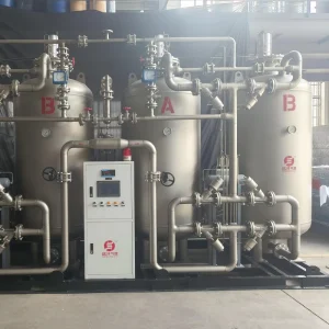 PSA Nitrogen Gas Generator with PLC Bearing Motor 99.9% Purity 30 Nm/h Flow for Food Packaging & Electronics