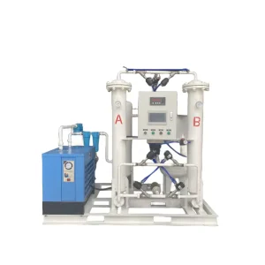 PSA Oxygen Concentrator Generator Widely Used Gas Generation Equipment for Hospitals and Sanatoriums