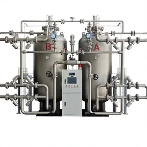 PSA Oxygen Concentrator with High Purity Flow Rate Professional Oxygen Production 1 Year Warranty PLC & Motor