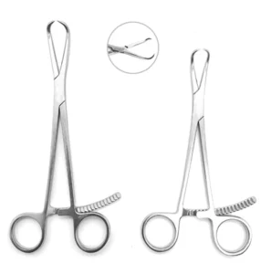 Pet Specific Stainless Steel Pointed & Toothed Bone Holding Forceps for Orthopedic Surgery