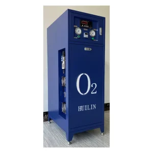 Portable 50L/min PSA Oxygen Gas Generator 93+-3% Medical Oxygen Machine with PLC and Motor 220V