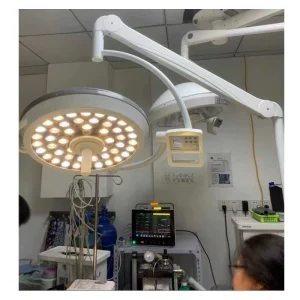 Portable Mobile Operating Room Surgery Light Shadowless Surgery Lamp for Animals