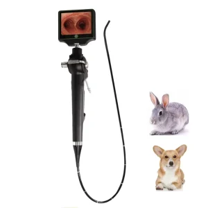 Portable Reusable Flexible Veterinary Surgical Instruments Endoscope Digital Dog Bronchoscope Cystoscope Ureteroscope System