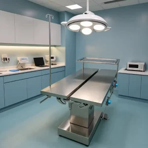 Professional 304 Stainless Steel Electric V Top Veterinary Operating Table for Pet Hospital Surgery