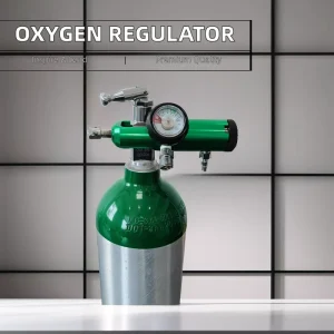 Professional Medical Oxygen Regulator with Adjustable Flow Control for Hospital Gas Cylinders and Patient Care