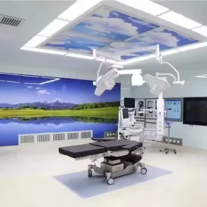 Quick Install Modular Operating Room Equipment Design Surgical Theater Air Cleaning Glass Wall Whole Operation Surgical Room