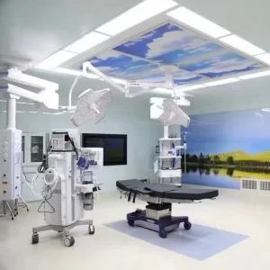 Quickly Installed Operating Room Hospital Operating Theatre Modular Theatre Operation Room